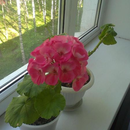 Apartment Chernihivska 13 Shostka 외부 사진